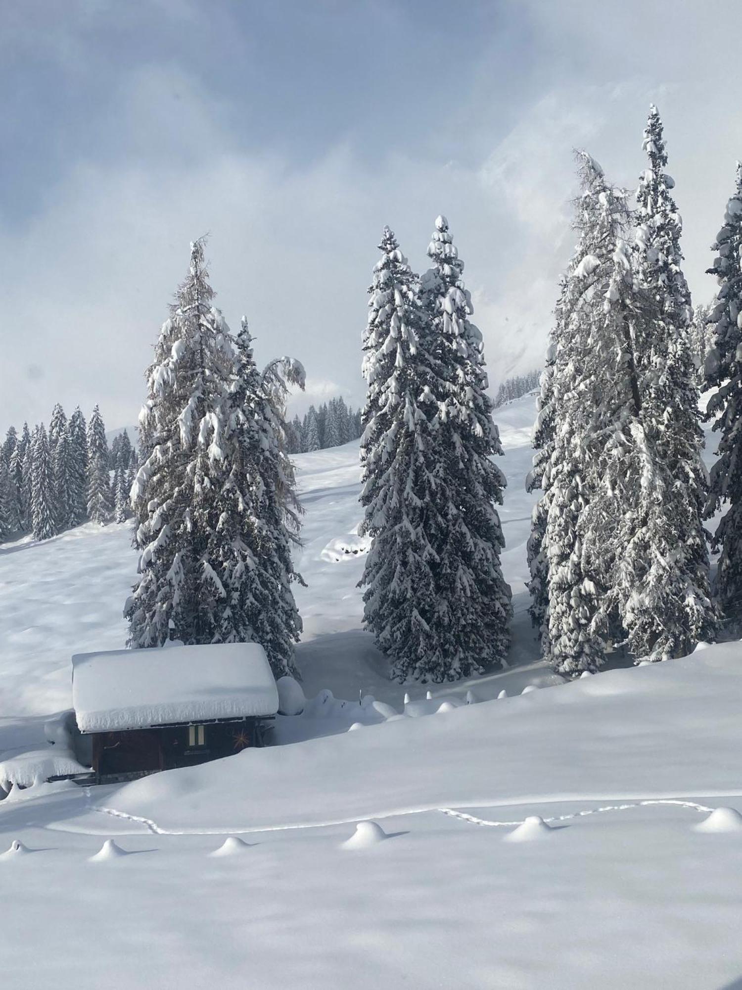 Appartementhaus Hochkoenig - Panoramablick Mühlbach am Hochkönig Exterior foto